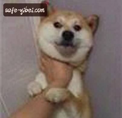 赵强